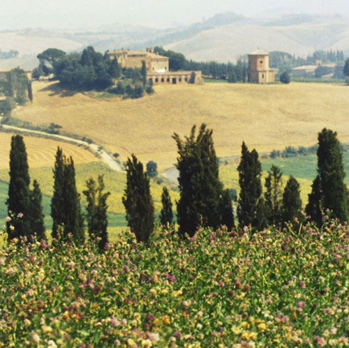 trees tuscany toscana italy italian fields landscapes green pastures scenes scenics