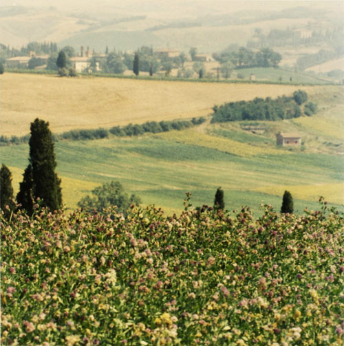 tuscany toscana italy italian fields landscapes green pastures scenes scenics
