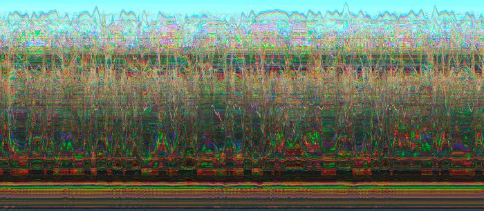 abstract, sea oats, registration, misregistration, colorful