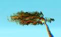 Portrait of Wind