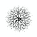 Trees in Winter