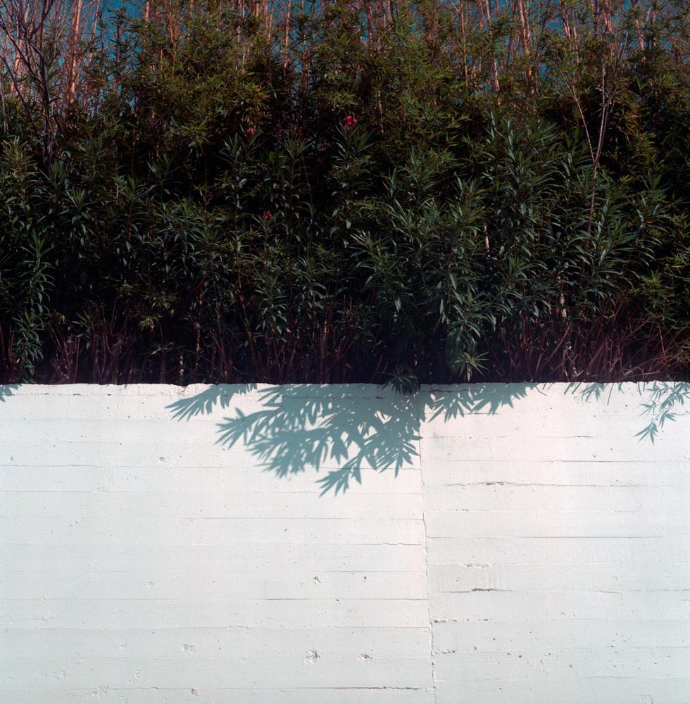 walls fences trees white wall branches leaves blue green red twig stick brick nature formalism san antonio