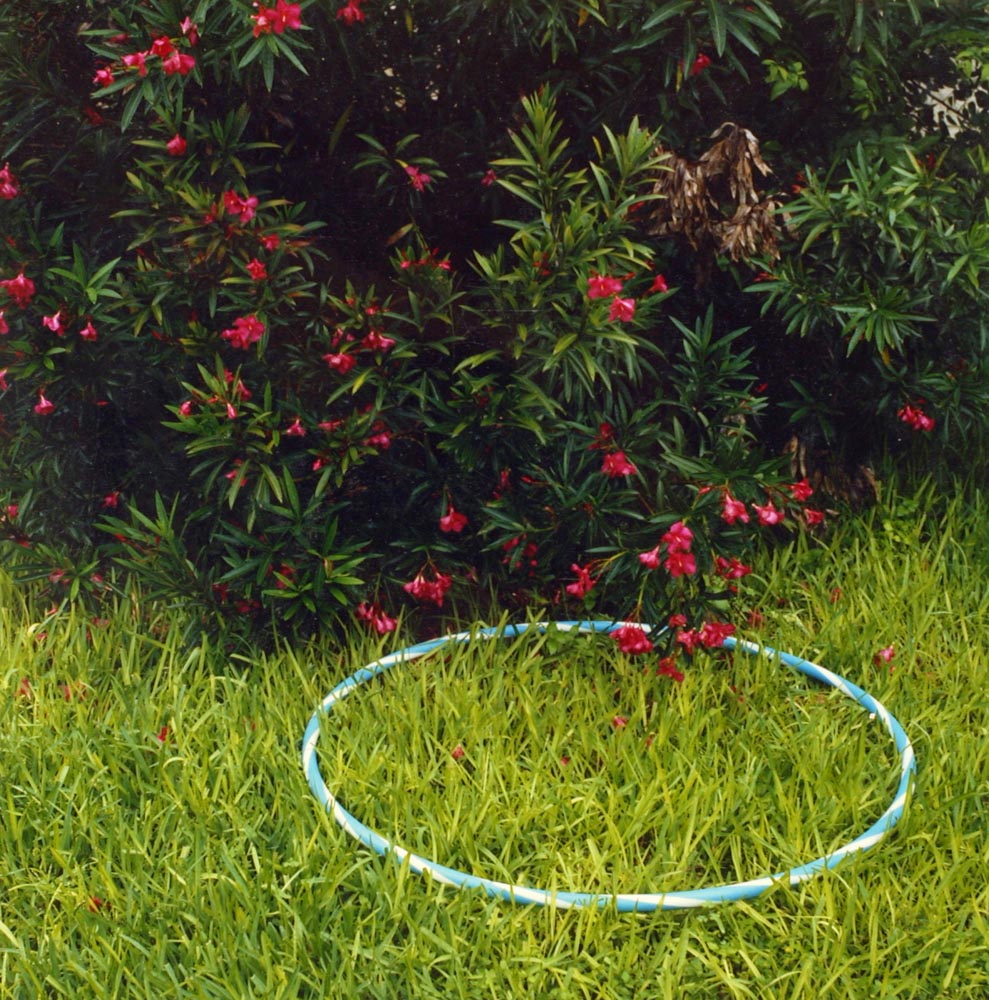 grass yards hula hoop bushes flowers shrubs oleander green lawn blue white stripe leaves circle plant outside pink yellow nature formalism