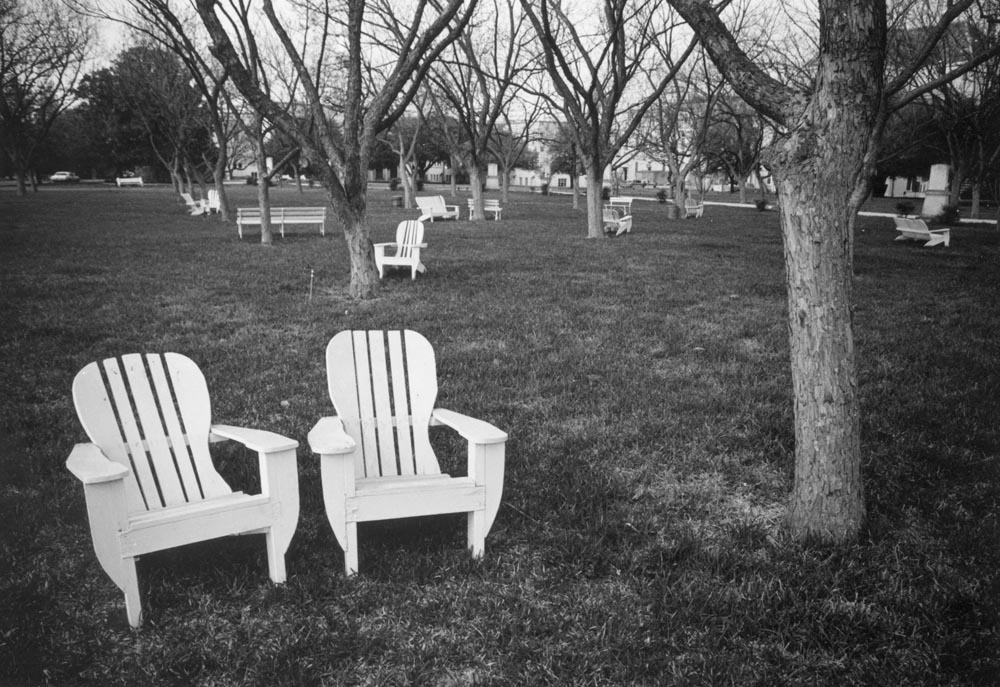 chairs trees twins south texas chair bench black and white next bench grass lawn park car nature scenes of south texas san antonio